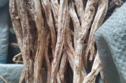 赤峰吃奶魚批發(fā)電話是多少號