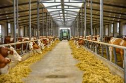 赤峰西漠飼料廠電話地址查詢