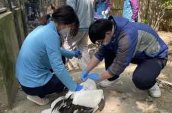 赤峰喂牛飼養(yǎng)員電話地址查詢