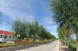 赤峰阿旗餡餅店電話多少號(hào)