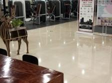 赤峰市陽光健身房電話號碼