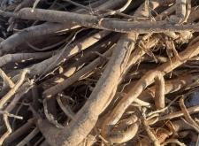 赤峰黃芪加工廠電話號碼查詢