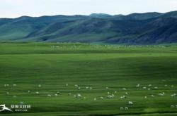 內(nèi)蒙赤峰阿旗敬老院電話號碼