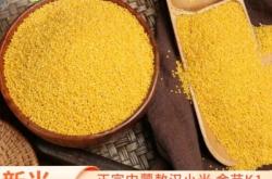 赤峰高信隆小額貸款公司