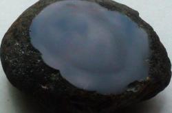 赤峰輕基質(zhì)網(wǎng)袋廠家聯(lián)系電話號(hào)碼