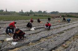 赤峰種車?yán)遄踊仉娫捥?hào)碼