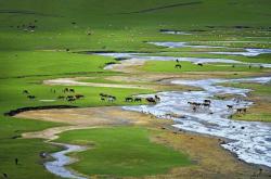 赤峰諾伯洗衣店電話(huà)地址查詢(xún)