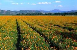 赤峰塞外奶食店電話號(hào)碼查詢