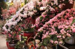 赤峰花卉市場動物園電話號碼