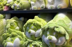 赤峰摩爾城小奶龍店電話號(hào)碼