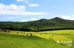 赤峰錦山租電動(dòng)車電話號(hào)碼