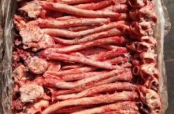 赤峰豬心管批發(fā)電話號碼是多少