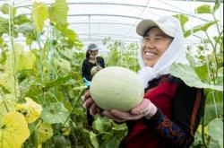 赤峰回古魯板蒿客車電話號碼