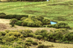 赤峰艾美民宿電話號(hào)碼多少
