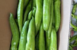 赤峰餐飲蔬菜批發(fā)電話號碼查詢