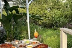 赤峰屋頂花園餐廳電話多少號(hào)