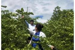 赤峰雅妃悅己店電話地址查詢