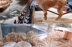 赤峰地區(qū)動物園電話多少號