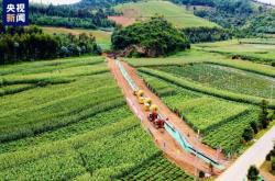 赤峰燃冉干果店電話號碼查詢