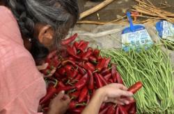 赤峰市場賣菜的電話號碼是多少