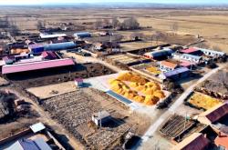 赤峰四道彎疫情防控電話號碼