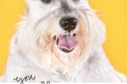 赤峰市親子照相館電話號碼