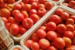 赤峰烙糕批發(fā)電話號碼多少