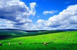 赤峰晴天照相館電話號碼查詢