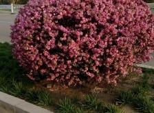 赤峰市百柳超市電話號碼