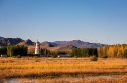 赤峰大板鎮(zhèn)大醬廠地址電話號碼