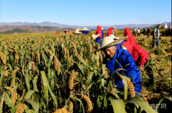 赤峰木材顆粒機銷售店電話號碼