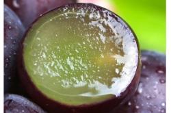 赤峰生鮮水果團(tuán)購(gòu)平臺(tái)電話(huà)號(hào)碼