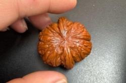 赤峰紅山萬達(dá)文玩店電話號(hào)碼