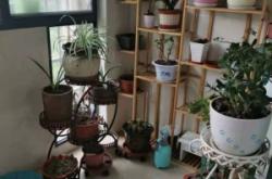 內(nèi)蒙古赤峰瑞泰物業(yè)電話號(hào)碼