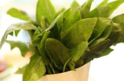 赤峰百花園餐廳電話地址查詢