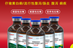 赤峰市出售豬苗電話號碼是多少