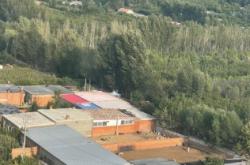 赤峰免費送狗電話是多少號