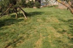 赤峰紅山郡自來水廠電話號碼