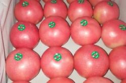 赤峰寧城縣手扒肉店電話號(hào)碼