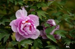 赤峰數(shù)碼相機(jī)維修點(diǎn)電話號(hào)碼