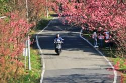 赤峰櫻花大道地址電話號(hào)碼