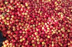 赤峰水果精品店電話號(hào)碼多少