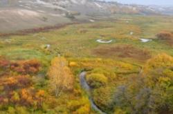 赤峰悅賓馬場(chǎng)電話號(hào)碼多少號(hào)