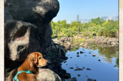 赤峰露營(yíng)基地價(jià)格查詢電話號(hào)碼