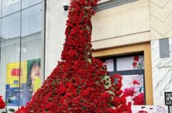 赤峰維多利金街電話多少號