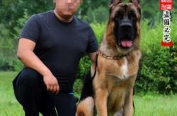 赤峰狗窩專(zhuān)賣(mài)店電話(huà)多少號(hào)