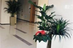 赤峰高位碼垛機(jī)租賃電話號(hào)碼