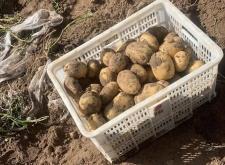 赤峰林西疫情報告電話查詢