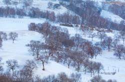 赤峰烏蘭布統(tǒng)飯店電話(huà)號(hào)碼多少