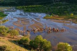 赤峰阿旗納豆廠地址電話號碼